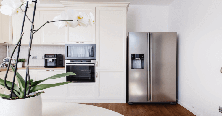 Kitchen and Refrigerator